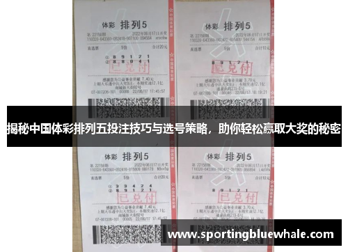 揭秘中国体彩排列五投注技巧与选号策略，助你轻松赢取大奖的秘密
